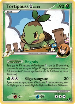 Tortipouss