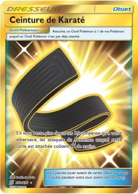 Ceinture de Karaté