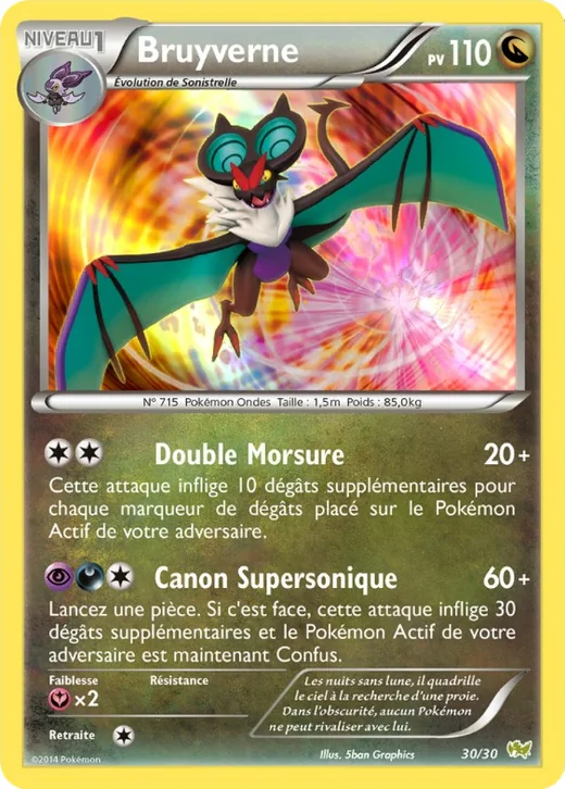 Bruyverne