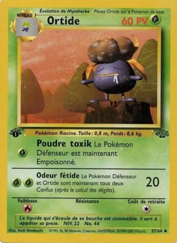 Ortide - Peu Commune