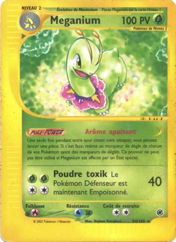 Meganium - Rare