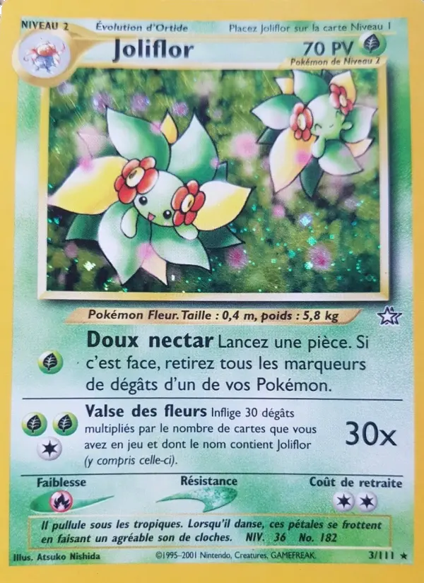 Joliflor - Rare
