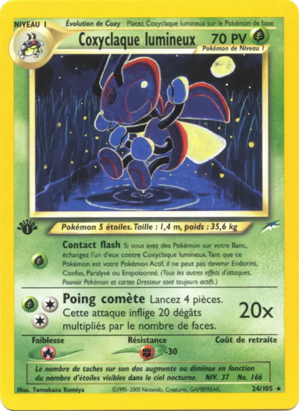 Coxyclaque lumineux - Rare