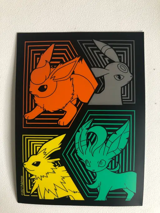 Evolition 5