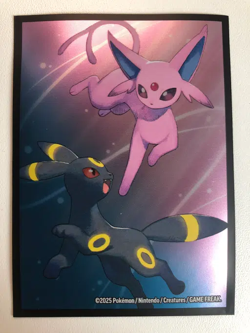 Evolition 6